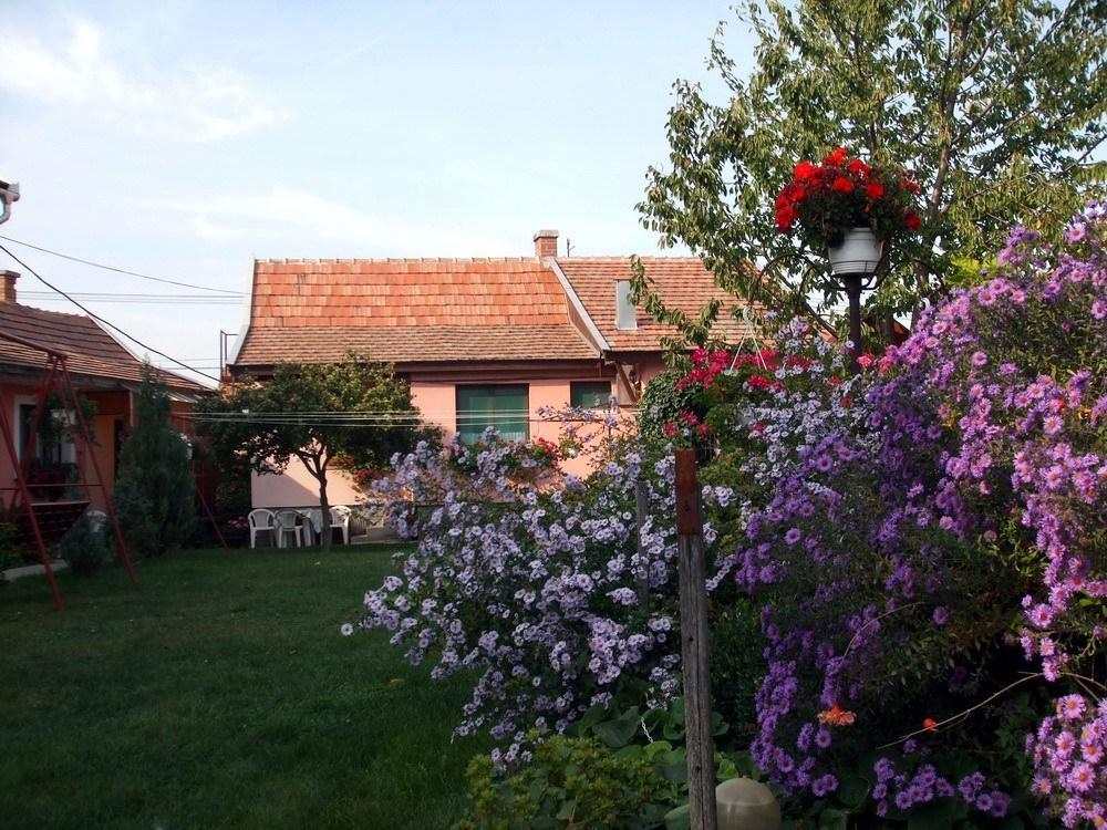 Lugas Szallas Jászberény Buitenkant foto